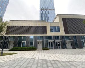 金融城临江独栋 现房零公摊 赠送300平使用 四合院可打广告