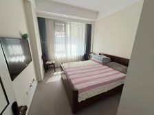 一套 送使用面积240平 带车位 送双层地下室 带大花园