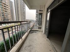 3180送车位,海港城金典户南北通透3加1房,可贷款,随时看