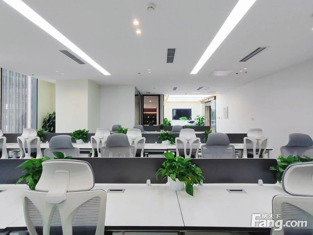 内景图