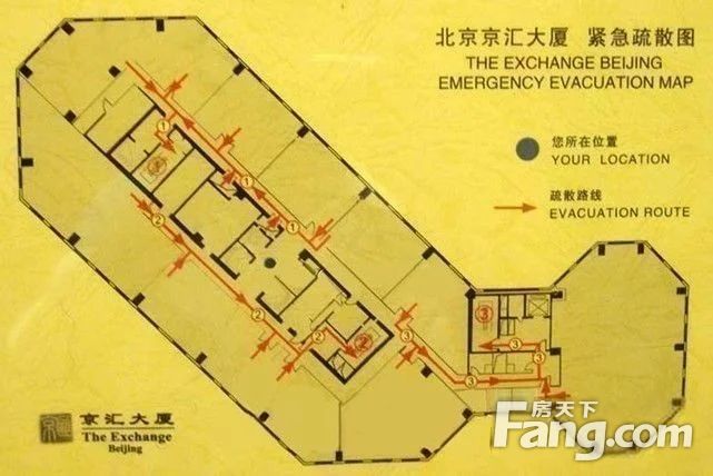 平面图