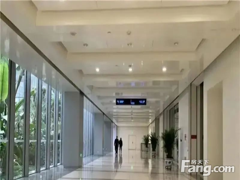 内景图