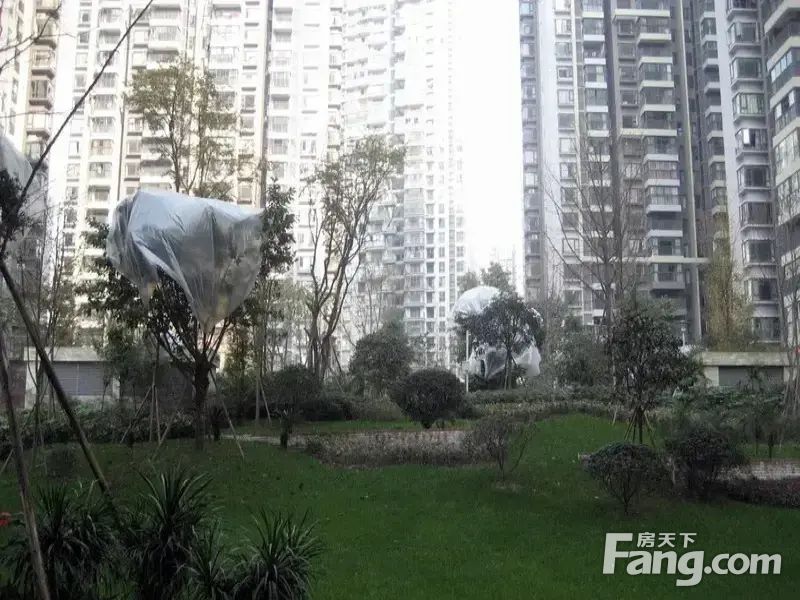小区相关图