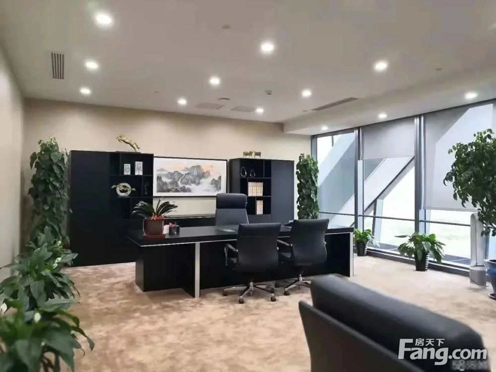 内景图