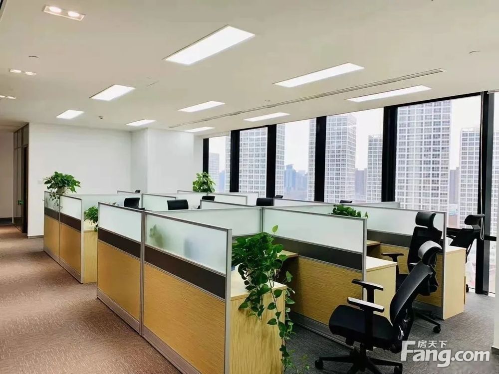 内景图