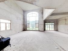 南海桂丹天晟海琴湾6室2厅5卫 毛坯1200万元 558平米