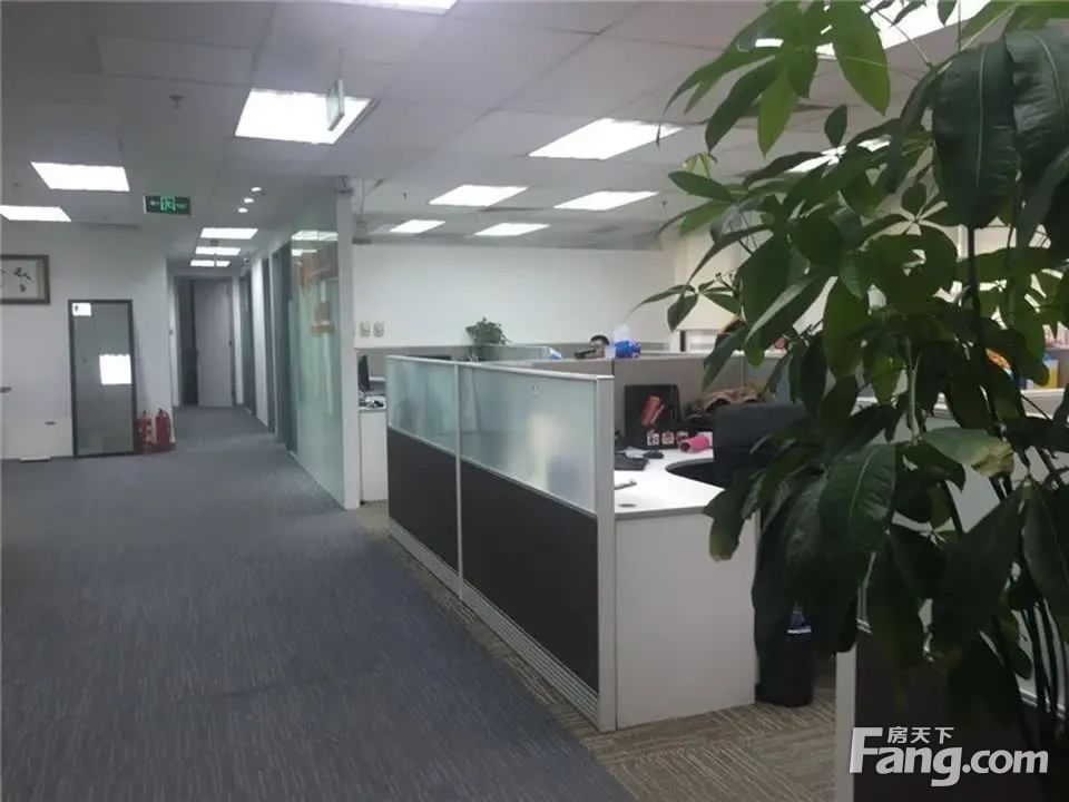 内景图