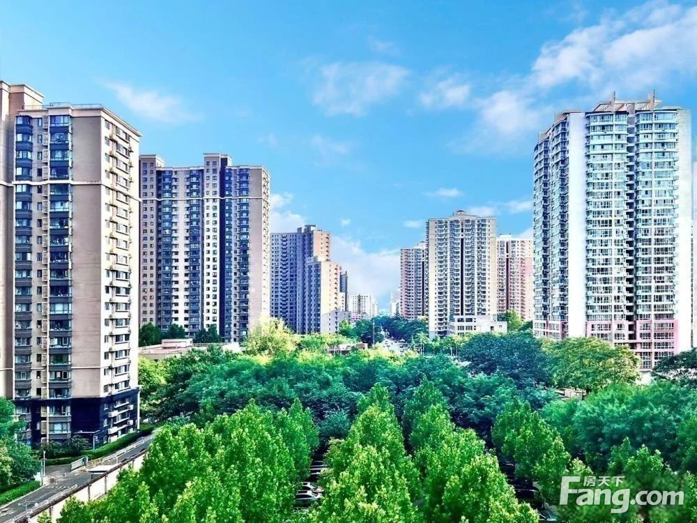 内景图
