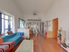 星湾学籍单价二万多的大平层非常有性价比近期必卖看房随时急售