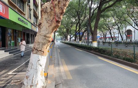 房源图片