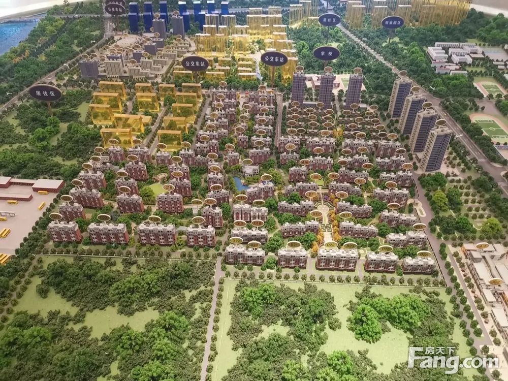 实景图