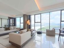 仅需1000湾买南山豪装现楼4折出售255平搞特价即可入住