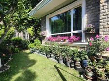 绿洲康城金帝豪苑 5室2厅4卫 普通装修 5200万元