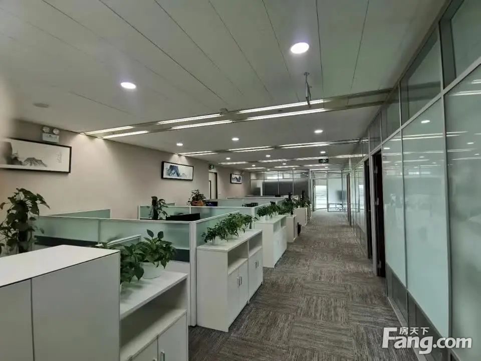 内景图