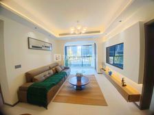 中国铁建东林道(一二期) 停车方便 临地铁 朝南 带电梯