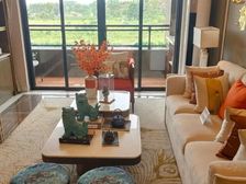 黄埔科学城雅居乐富春山居 南北通透四居 满五豪装