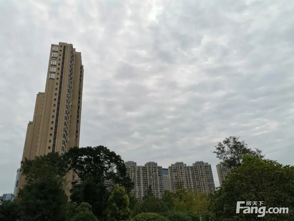 小区相关图