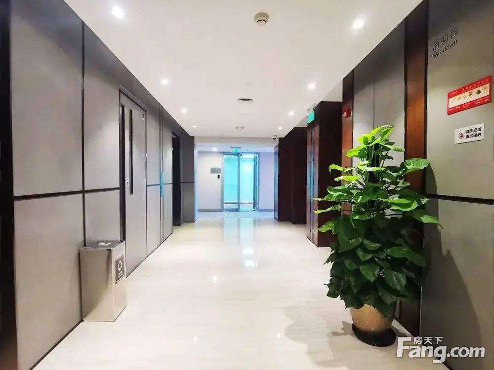 内景图