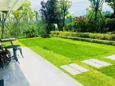 特价甩卖(大花园200平)东部新城,明湖板块,洋房大平层