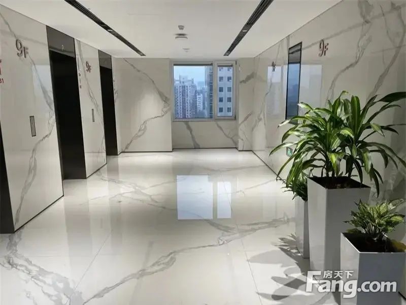 内景图