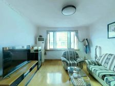 狮山新苑电梯房拎包入住前后无遮挡高端小区