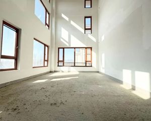 450平 临湖独栋别墅 实际使用面积可大850平 地上三层