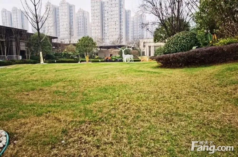 小区相关图