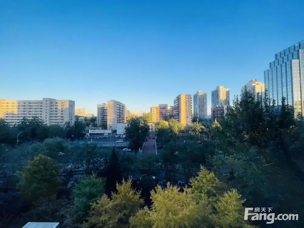 内景图