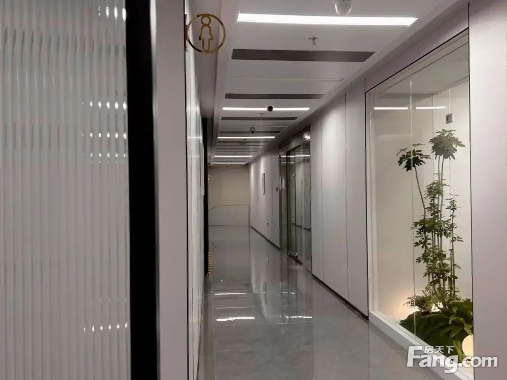 外景图