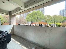 俩房朝南,毛坯,客厅朝南,置换急着卖,真 格,还可小刀!