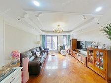 金色中环带!次新小区!人车分流!电梯洋房!