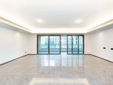 大平层 璟尚雅宸 全新精装 没住过 房东去外地 着急卖可大刀