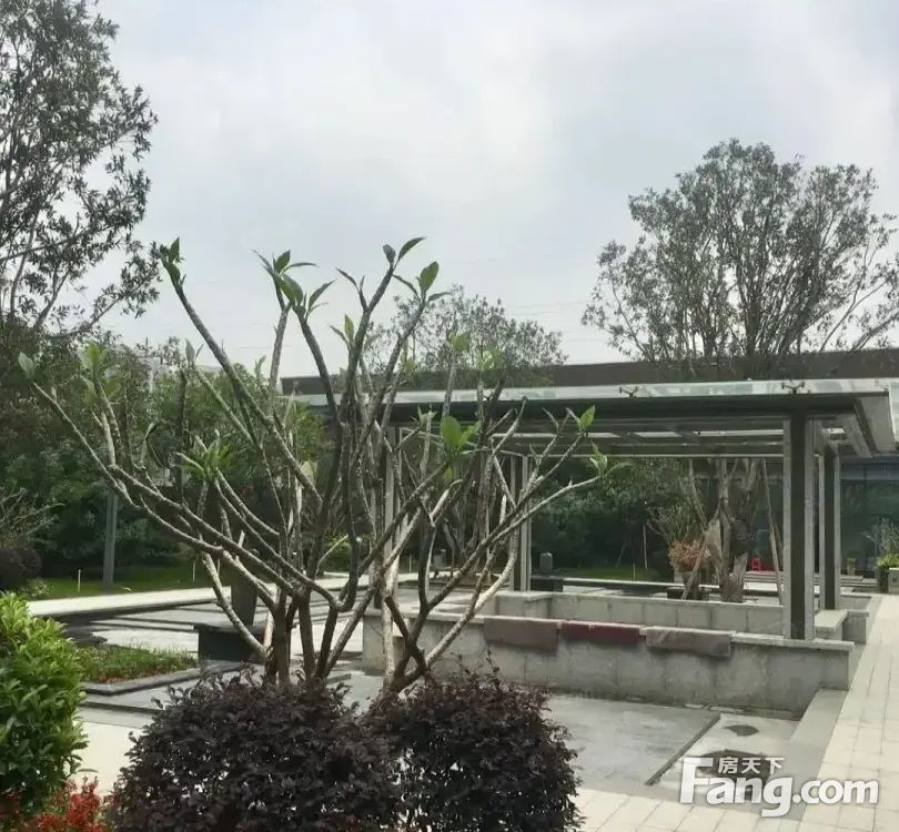 小区相关图