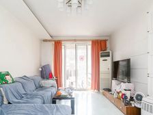 落地窗 南北直通 电梯商品房 地铁口 看陆家嘴三件套