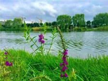 西南五环改善别墅 上下4层现房 地鉄800米 低总价