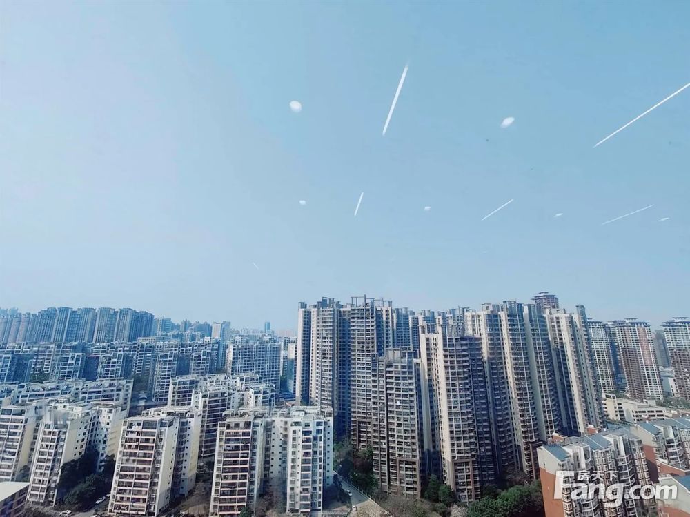 平面图