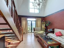 莱茵河畔 5室2厅 245.87平