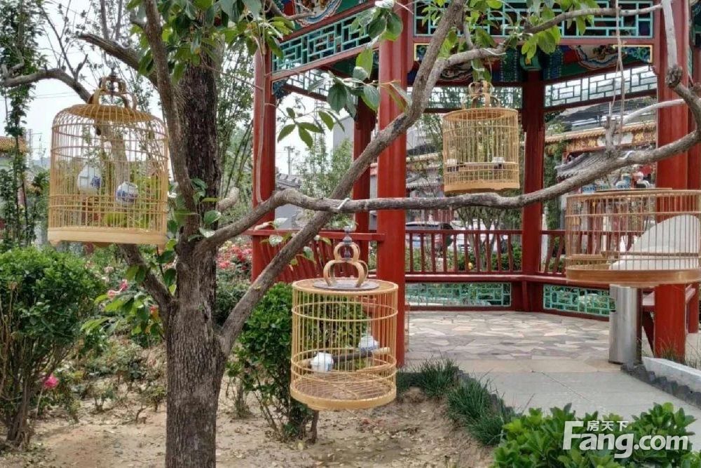 内景图