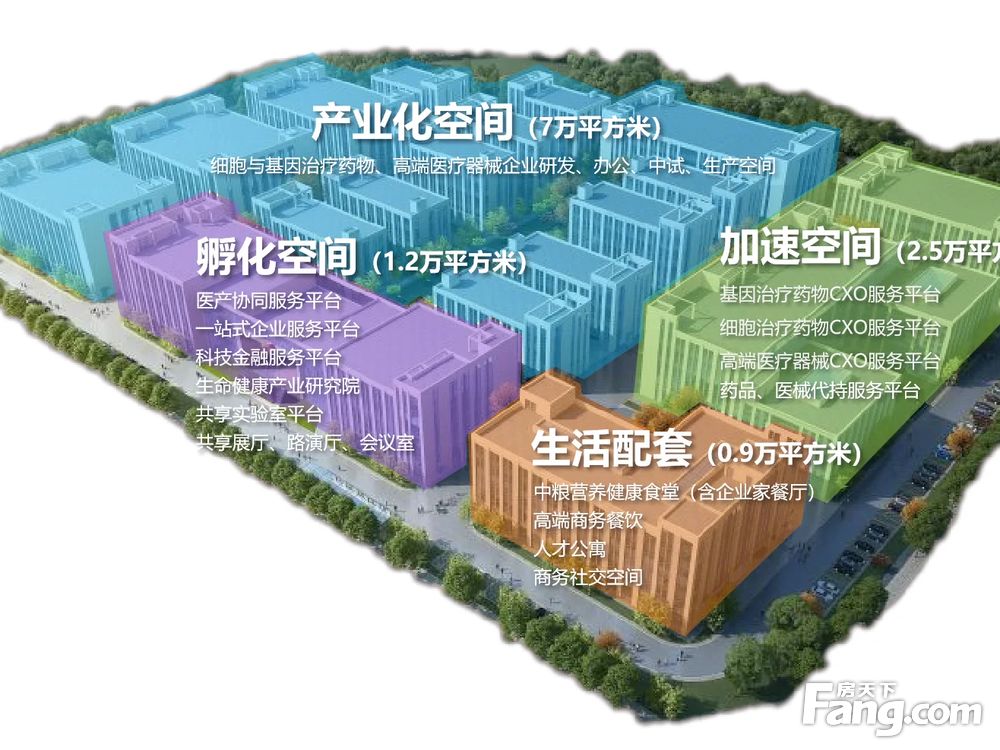 平面图