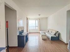 新港街 交通便利 商业配套齐全 电梯房 南北通透 满五