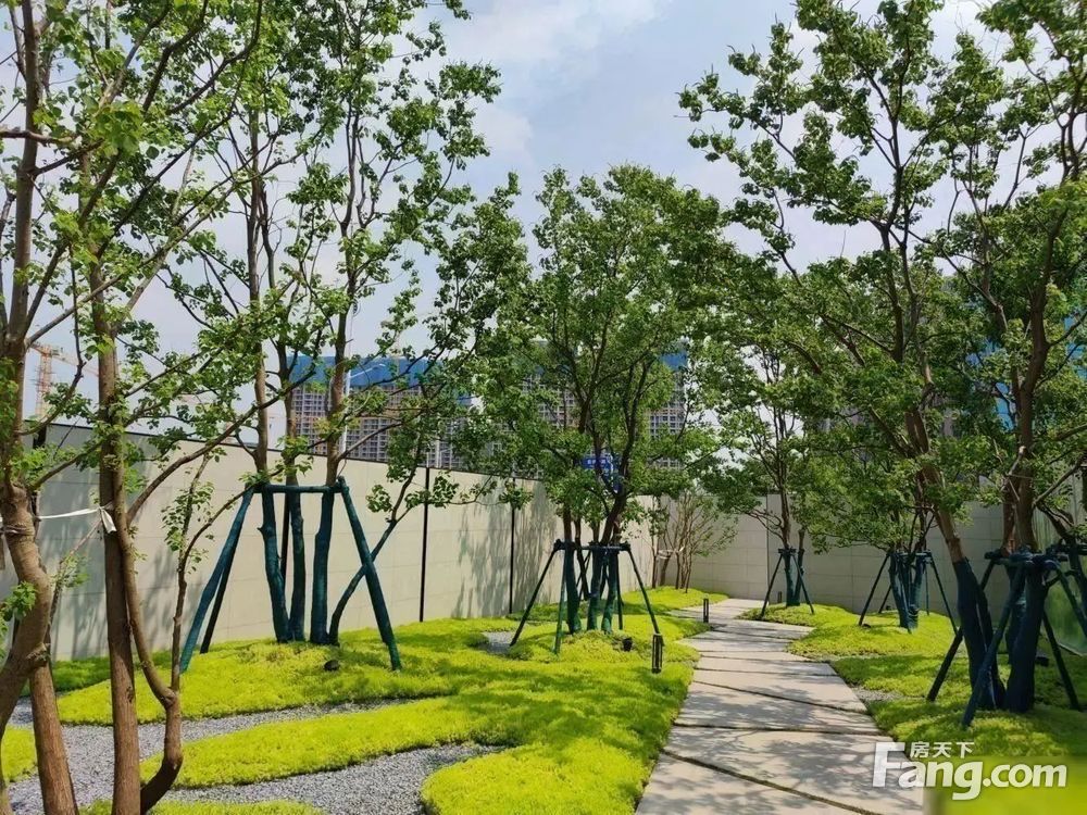 小区相关图