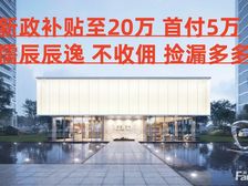 新政补贴至20万 首付5万起 儒辰辰逸 找我享渠道优惠捡漏多