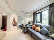 徐汇滨江 06年600W+电梯小高层 南北通 精装拎包入住