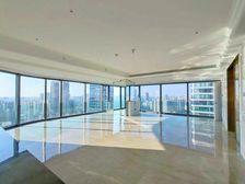 成都市春熙路太古里旁新希望D10 高区220大平层豪宅出售