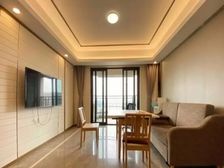 东外滩品质次新房 三开间朝南 4/12湘双规交汇 人车分流