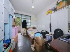 花木板块 总价便宜 近龙阳路7/18/2/16/磁悬浮