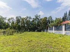观澜湖独栋大宅、带1500平花园,急售3300万,红本可交易
