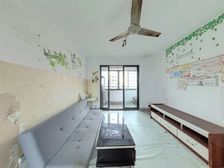 力荐 新出南北通透11楼 采光充足,川中南校,真房实价急售/