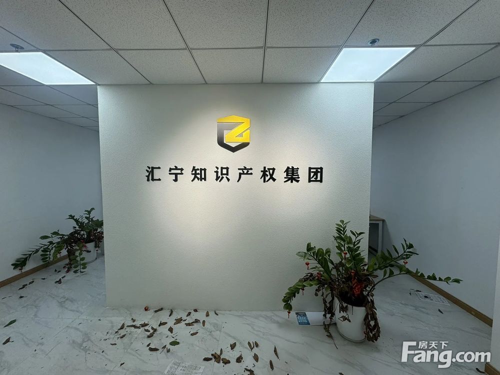 内景图