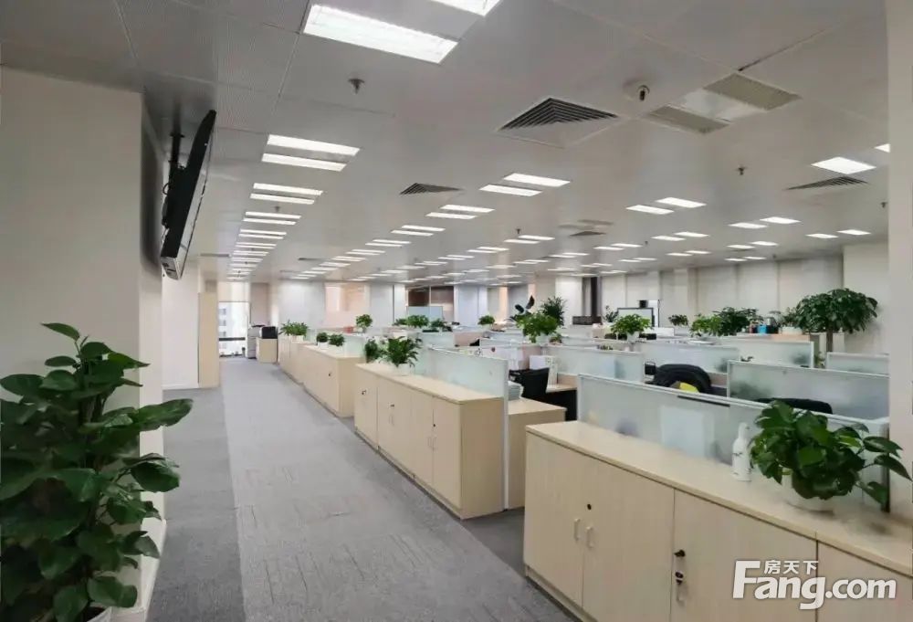 内景图